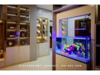 ชุดตู้ปลาเฟอร์นิเจอร์ Model: Lobby Plus Size: 90x45 cm. H:80/200cm.
